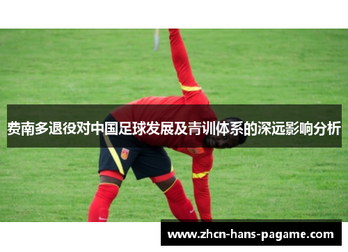 费南多退役对中国足球发展及青训体系的深远影响分析
